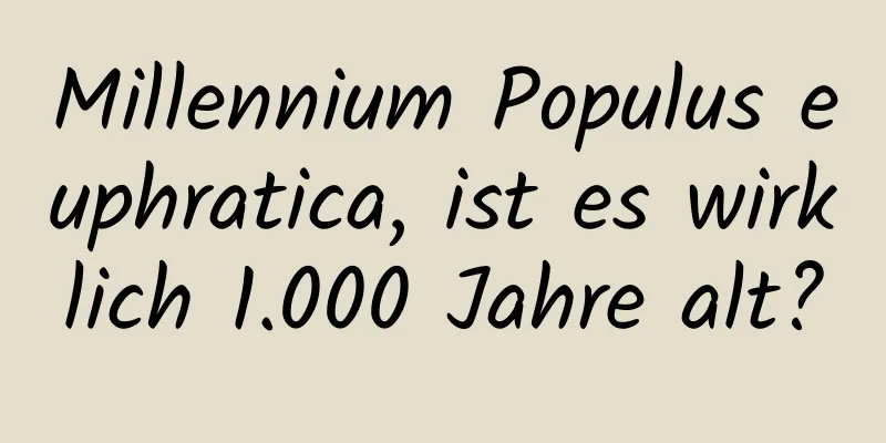 Millennium Populus euphratica, ist es wirklich 1.000 Jahre alt?