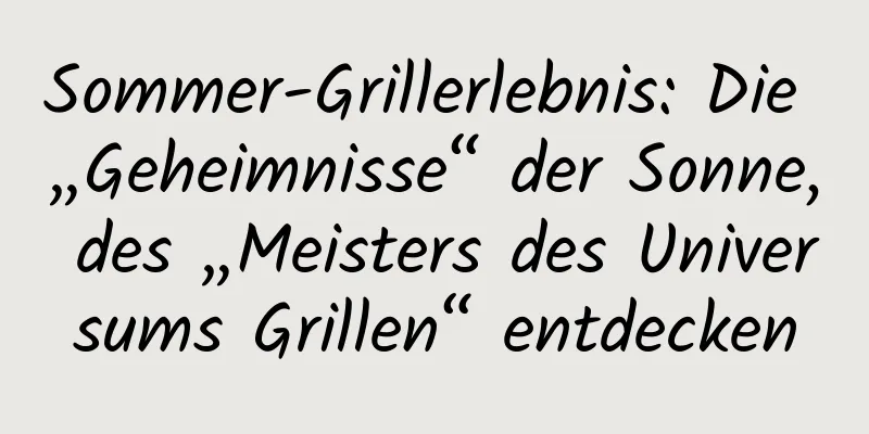 Sommer-Grillerlebnis: Die „Geheimnisse“ der Sonne, des „Meisters des Universums Grillen“ entdecken