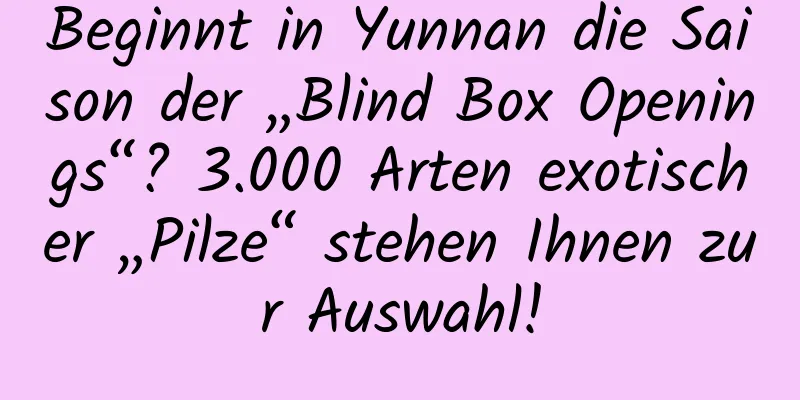 Beginnt in Yunnan die Saison der „Blind Box Openings“? 3.000 Arten exotischer „Pilze“ stehen Ihnen zur Auswahl!