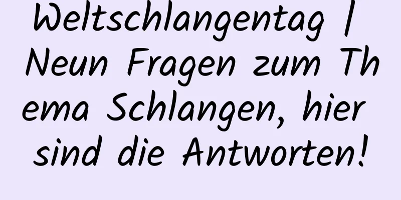 Weltschlangentag | Neun Fragen zum Thema Schlangen, hier sind die Antworten!