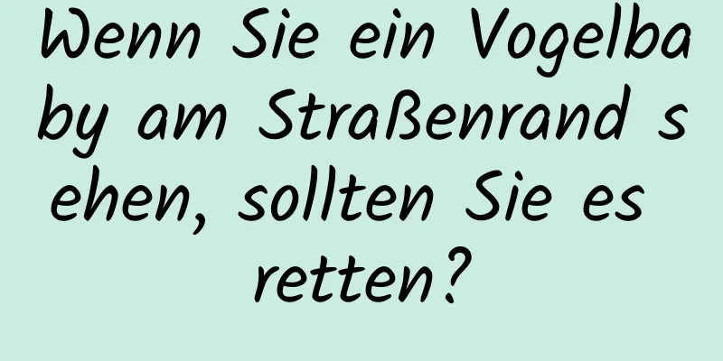 Wenn Sie ein Vogelbaby am Straßenrand sehen, sollten Sie es retten?