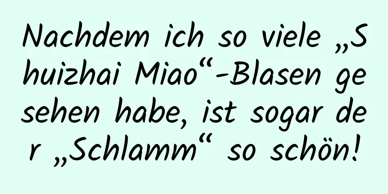 Nachdem ich so viele „Shuizhai Miao“-Blasen gesehen habe, ist sogar der „Schlamm“ so schön!