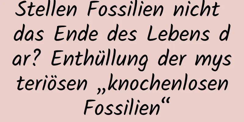 Stellen Fossilien nicht das Ende des Lebens dar? Enthüllung der mysteriösen „knochenlosen Fossilien“