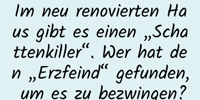 Im neu renovierten Haus gibt es einen „Schattenkiller“. Wer hat den „Erzfeind“ gefunden, um es zu bezwingen?