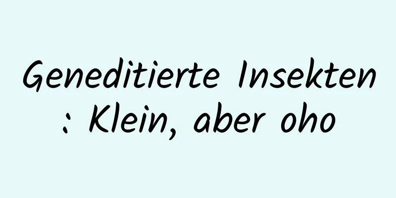 Geneditierte Insekten: Klein, aber oho