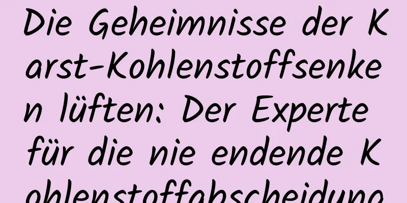 Die Geheimnisse der Karst-Kohlenstoffsenken lüften: Der Experte für die nie endende Kohlenstoffabscheidung