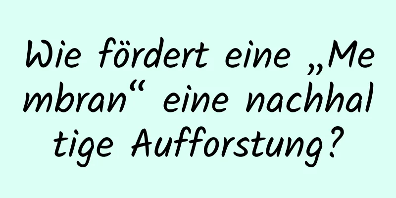 Wie fördert eine „Membran“ eine nachhaltige Aufforstung?