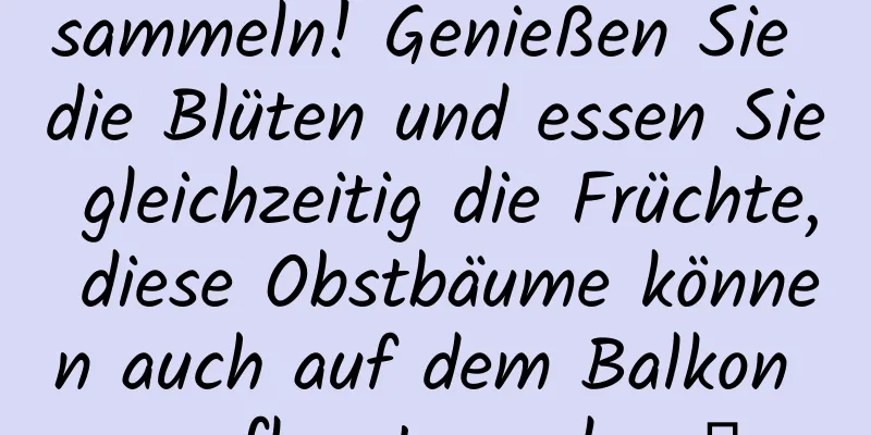 sammeln! Genießen Sie die Blüten und essen Sie gleichzeitig die Früchte, diese Obstbäume können auch auf dem Balkon gepflanzt werden →