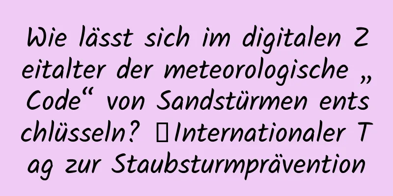 Wie lässt sich im digitalen Zeitalter der meteorologische „Code“ von Sandstürmen entschlüsseln? ｜Internationaler Tag zur Staubsturmprävention