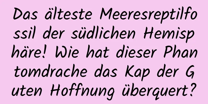 Das älteste Meeresreptilfossil der südlichen Hemisphäre! Wie hat dieser Phantomdrache das Kap der Guten Hoffnung überquert?