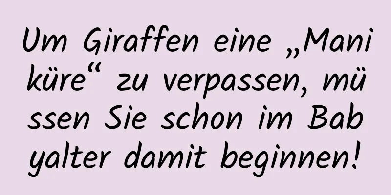 Um Giraffen eine „Maniküre“ zu verpassen, müssen Sie schon im Babyalter damit beginnen!
