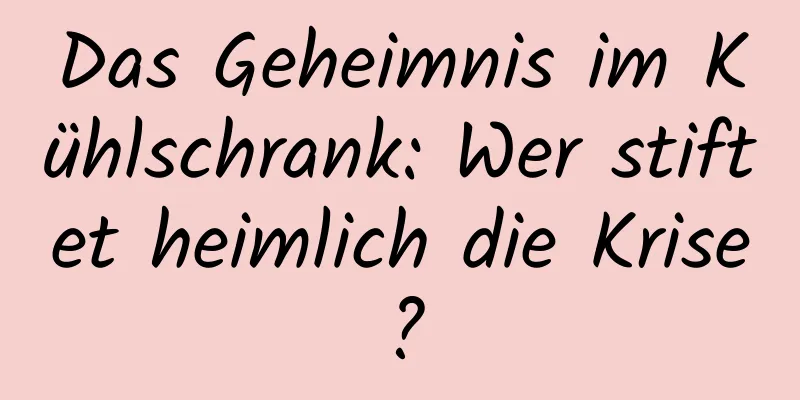 Das Geheimnis im Kühlschrank: Wer stiftet heimlich die Krise?