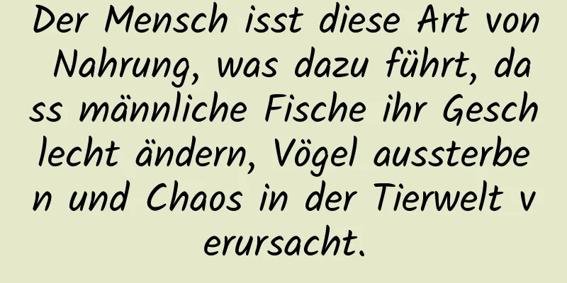 Der Mensch isst diese Art von Nahrung, was dazu führt, dass männliche Fische ihr Geschlecht ändern, Vögel aussterben und Chaos in der Tierwelt verursacht.