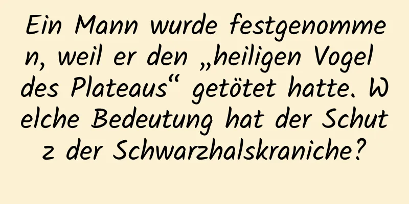 Ein Mann wurde festgenommen, weil er den „heiligen Vogel des Plateaus“ getötet hatte. Welche Bedeutung hat der Schutz der Schwarzhalskraniche?