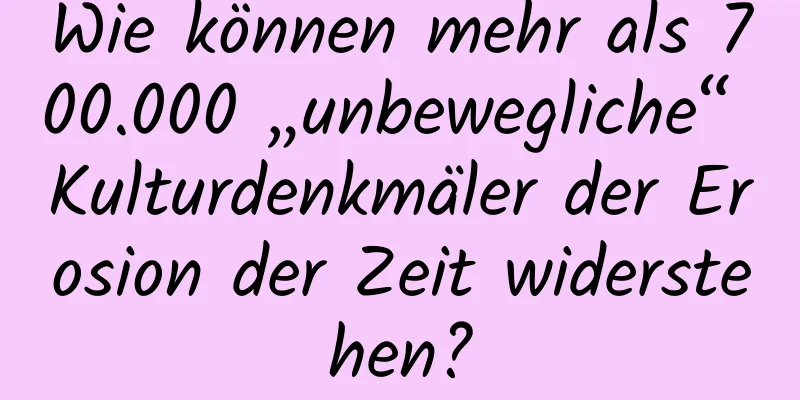Wie können mehr als 700.000 „unbewegliche“ Kulturdenkmäler der Erosion der Zeit widerstehen?