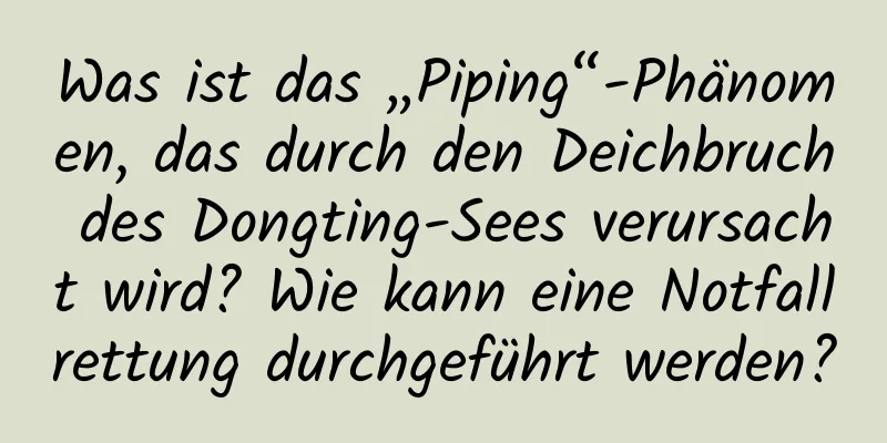 Was ist das „Piping“-Phänomen, das durch den Deichbruch des Dongting-Sees verursacht wird? Wie kann eine Notfallrettung durchgeführt werden?