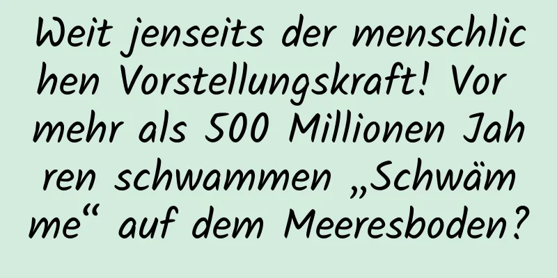 Weit jenseits der menschlichen Vorstellungskraft! Vor mehr als 500 Millionen Jahren schwammen „Schwämme“ auf dem Meeresboden?