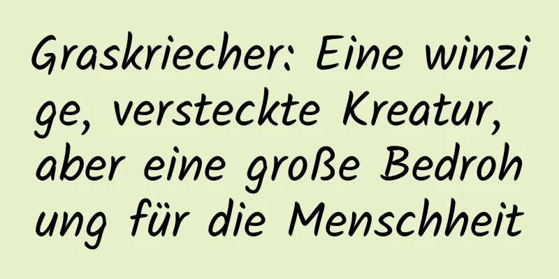 Graskriecher: Eine winzige, versteckte Kreatur, aber eine große Bedrohung für die Menschheit