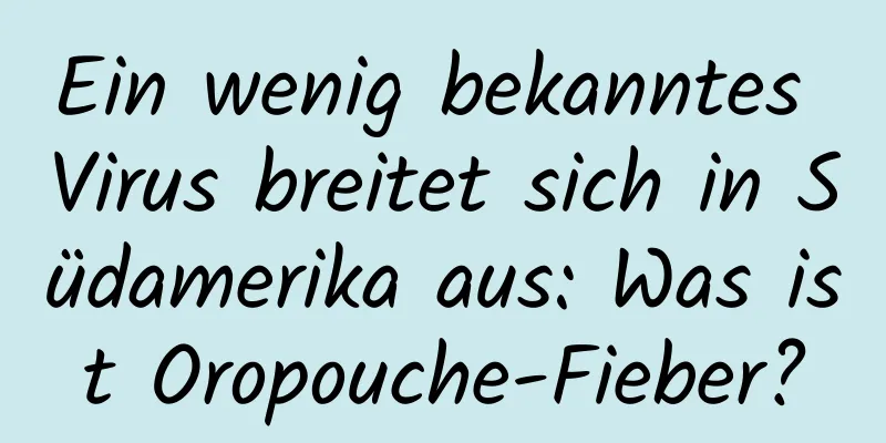 Ein wenig bekanntes Virus breitet sich in Südamerika aus: Was ist Oropouche-Fieber?