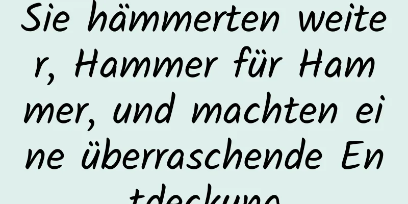 Sie hämmerten weiter, Hammer für Hammer, und machten eine überraschende Entdeckung