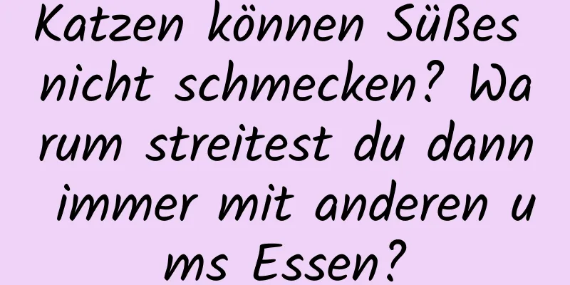 Katzen können Süßes nicht schmecken? Warum streitest du dann immer mit anderen ums Essen?