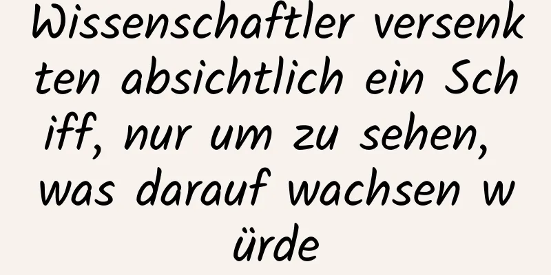 Wissenschaftler versenkten absichtlich ein Schiff, nur um zu sehen, was darauf wachsen würde