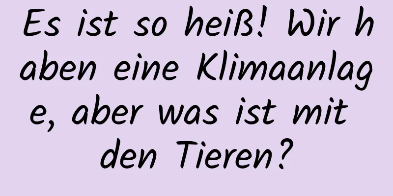 Es ist so heiß! Wir haben eine Klimaanlage, aber was ist mit den Tieren?