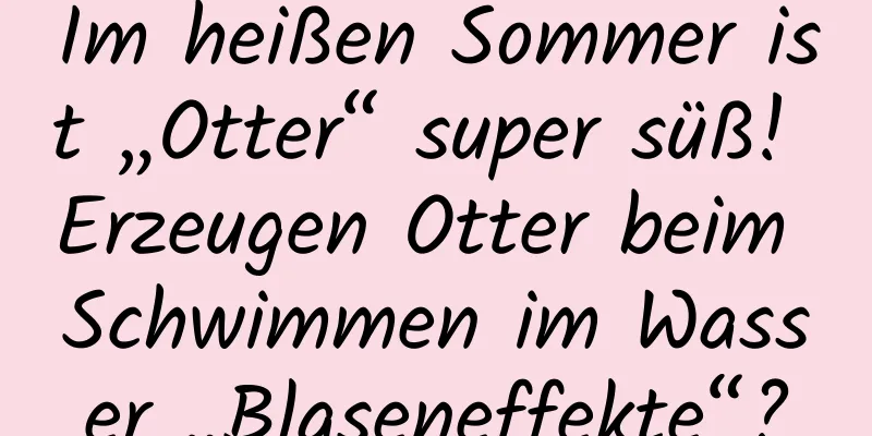 Im heißen Sommer ist „Otter“ super süß! Erzeugen Otter beim Schwimmen im Wasser „Blaseneffekte“?