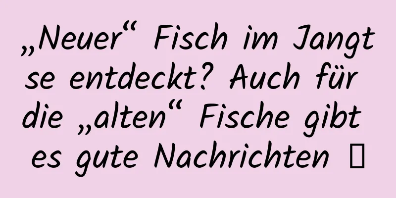 „Neuer“ Fisch im Jangtse entdeckt? Auch für die „alten“ Fische gibt es gute Nachrichten →