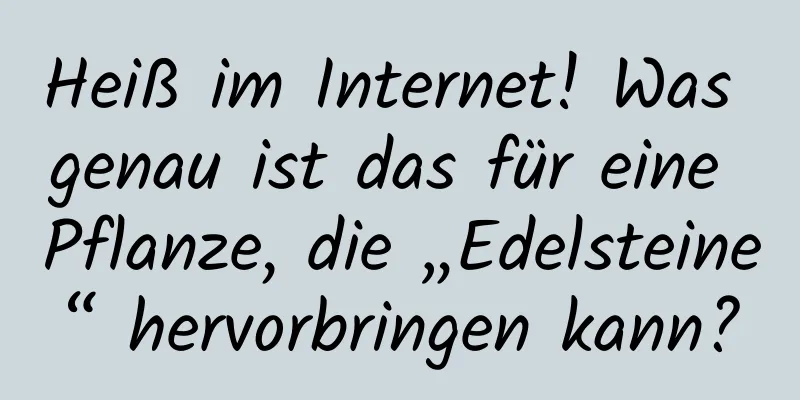 Heiß im Internet! Was genau ist das für eine Pflanze, die „Edelsteine“ hervorbringen kann?