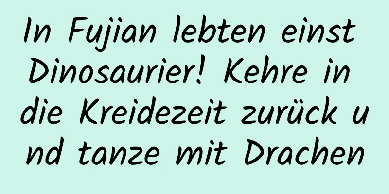 In Fujian lebten einst Dinosaurier! Kehre in die Kreidezeit zurück und tanze mit Drachen