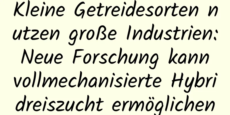 Kleine Getreidesorten nutzen große Industrien: Neue Forschung kann vollmechanisierte Hybridreiszucht ermöglichen