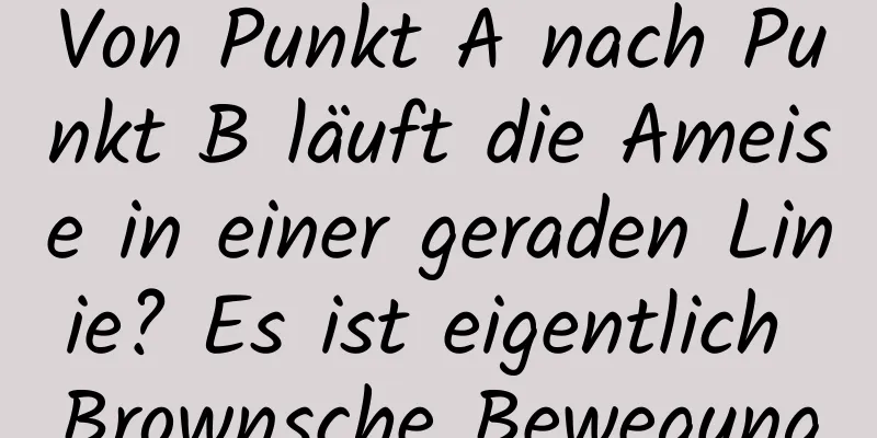 Von Punkt A nach Punkt B läuft die Ameise in einer geraden Linie? Es ist eigentlich Brownsche Bewegung