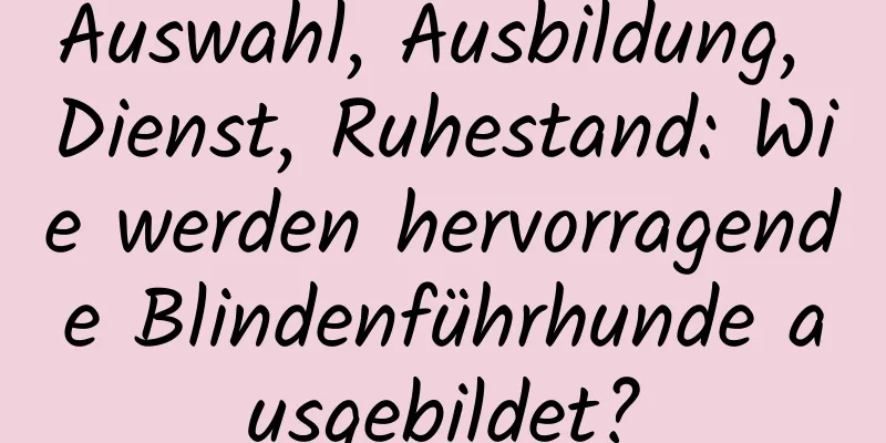 Auswahl, Ausbildung, Dienst, Ruhestand: Wie werden hervorragende Blindenführhunde ausgebildet?