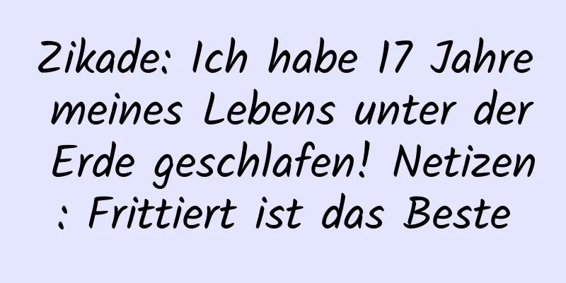 Zikade: Ich habe 17 Jahre meines Lebens unter der Erde geschlafen! Netizen: Frittiert ist das Beste