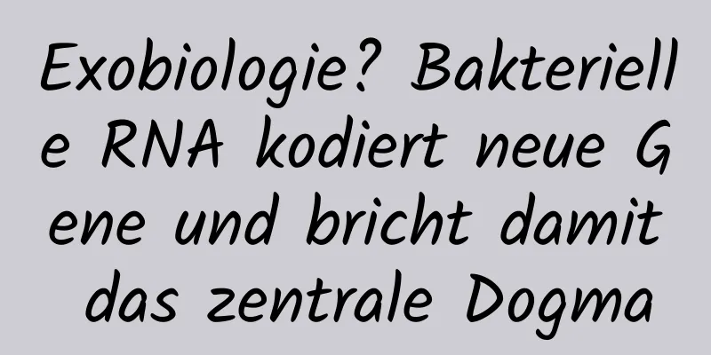 Exobiologie? Bakterielle RNA kodiert neue Gene und bricht damit das zentrale Dogma