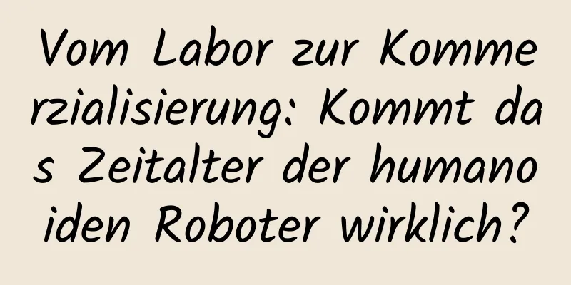Vom Labor zur Kommerzialisierung: Kommt das Zeitalter der humanoiden Roboter wirklich?