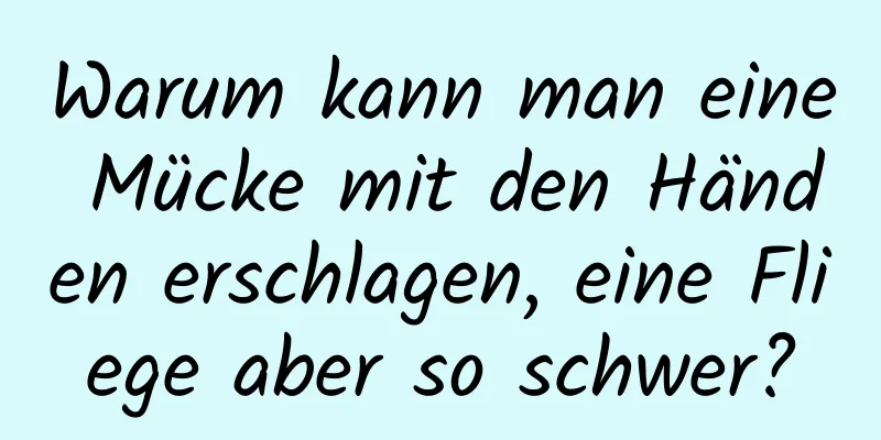 Warum kann man eine Mücke mit den Händen erschlagen, eine Fliege aber so schwer?