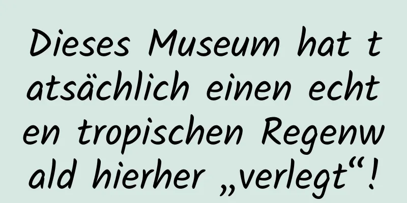 Dieses Museum hat tatsächlich einen echten tropischen Regenwald hierher „verlegt“!