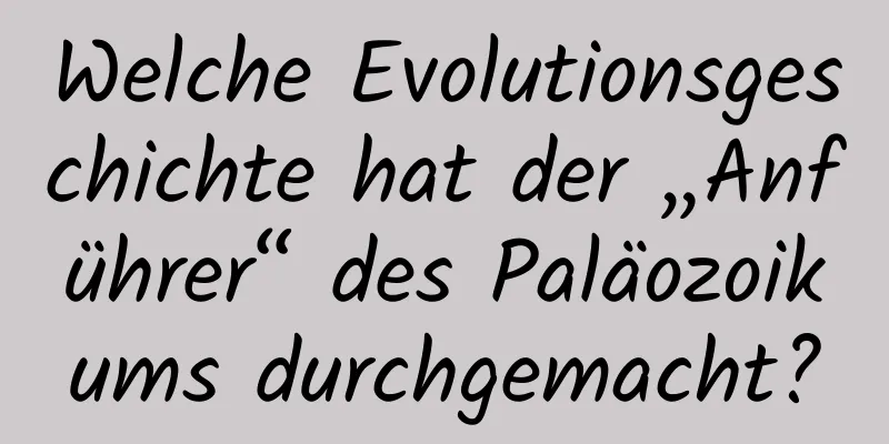 Welche Evolutionsgeschichte hat der „Anführer“ des Paläozoikums durchgemacht?