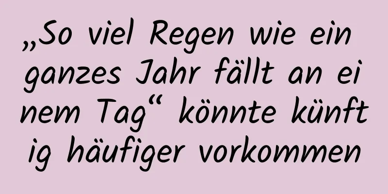 „So viel Regen wie ein ganzes Jahr fällt an einem Tag“ könnte künftig häufiger vorkommen