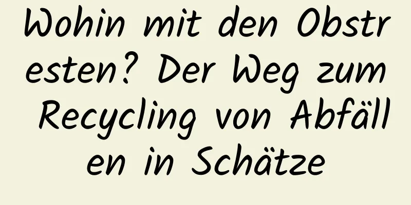Wohin mit den Obstresten? Der Weg zum Recycling von Abfällen in Schätze