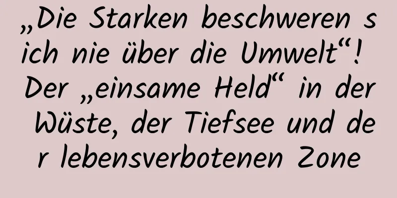 „Die Starken beschweren sich nie über die Umwelt“! Der „einsame Held“ in der Wüste, der Tiefsee und der lebensverbotenen Zone