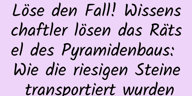 Löse den Fall! Wissenschaftler lösen das Rätsel des Pyramidenbaus: Wie die riesigen Steine ​​transportiert wurden