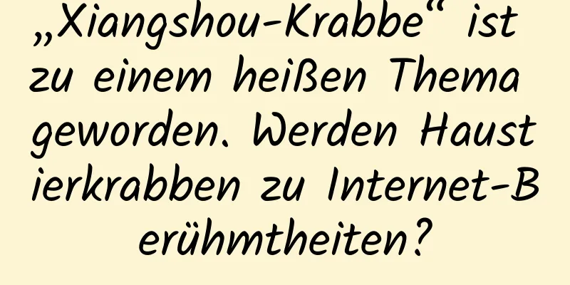 „Xiangshou-Krabbe“ ist zu einem heißen Thema geworden. Werden Haustierkrabben zu Internet-Berühmtheiten?