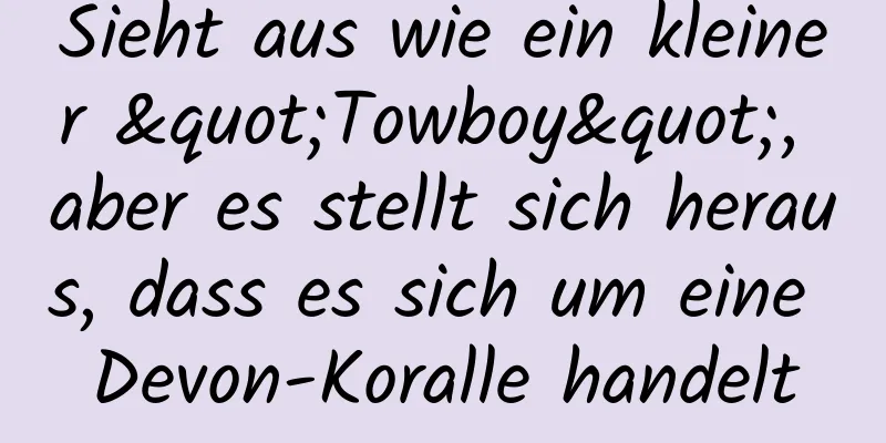 Sieht aus wie ein kleiner "Towboy", aber es stellt sich heraus, dass es sich um eine Devon-Koralle handelt