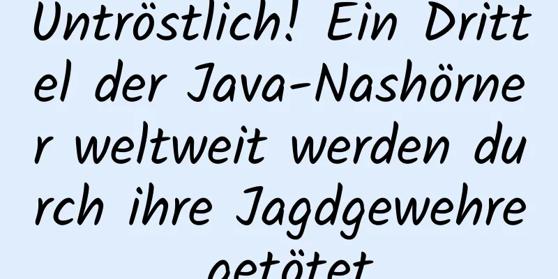 Untröstlich! Ein Drittel der Java-Nashörner weltweit werden durch ihre Jagdgewehre getötet