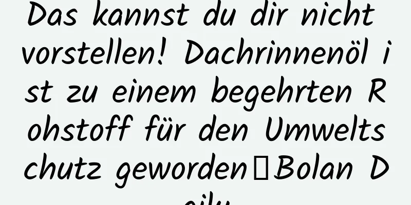Das kannst du dir nicht vorstellen! Dachrinnenöl ist zu einem begehrten Rohstoff für den Umweltschutz geworden｜Bolan Daily