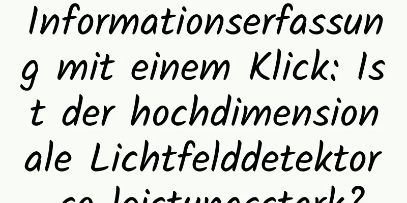 Informationserfassung mit einem Klick: Ist der hochdimensionale Lichtfelddetektor so leistungsstark?