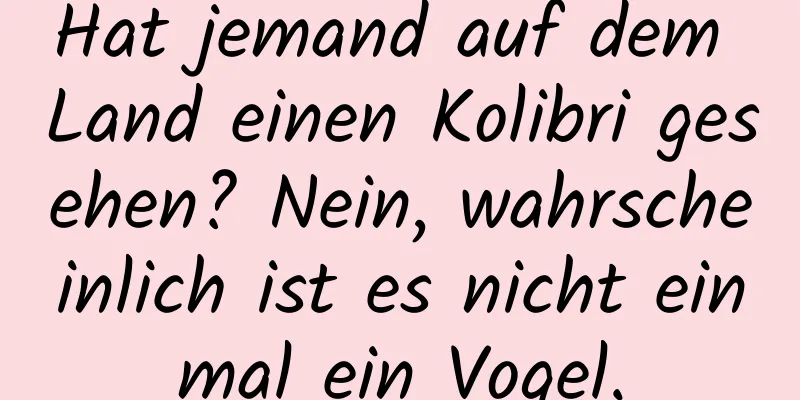 Hat jemand auf dem Land einen Kolibri gesehen? Nein, wahrscheinlich ist es nicht einmal ein Vogel.